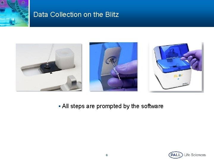 Data Collection on the Blitz § All steps are prompted by the software 6