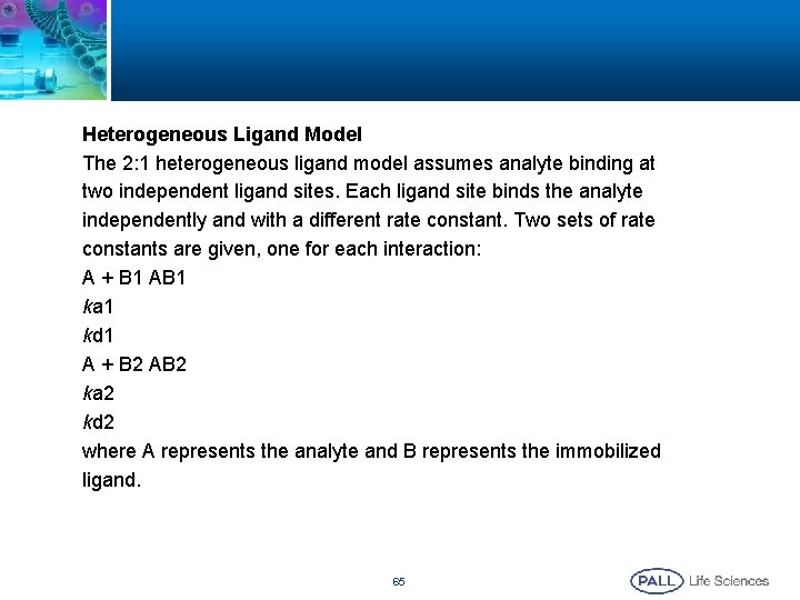 Heterogeneous Ligand Model The 2: 1 heterogeneous ligand model assumes analyte binding at two Heterogeneous Ligand Model The 2: 1 heterogeneous ligand model assumes analyte binding at two
