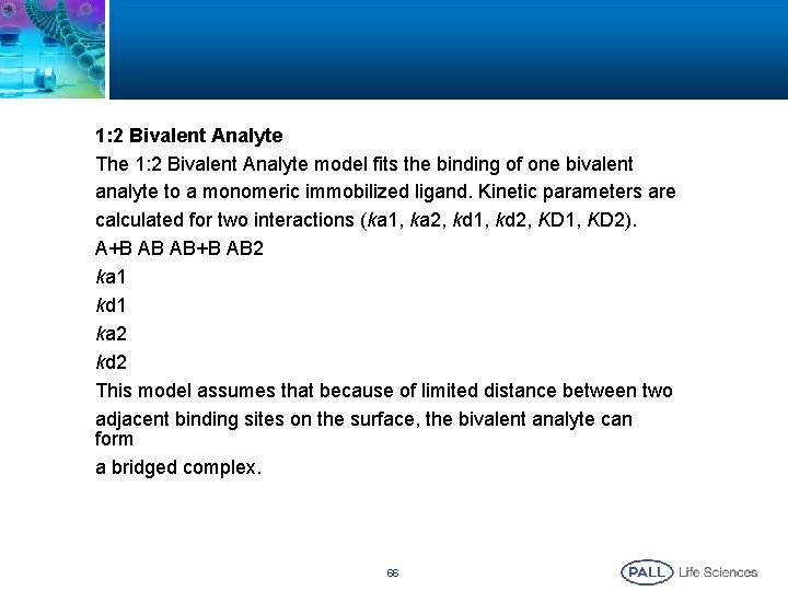 1: 2 Bivalent Analyte The 1: 2 Bivalent Analyte model fits the binding of 1: 2 Bivalent Analyte The 1: 2 Bivalent Analyte model fits the binding of