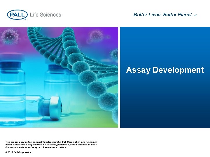 Better Lives. Better Planet. SM Assay Development This presentation is the copyright work product Better Lives. Better Planet. SM Assay Development This presentation is the copyright work product