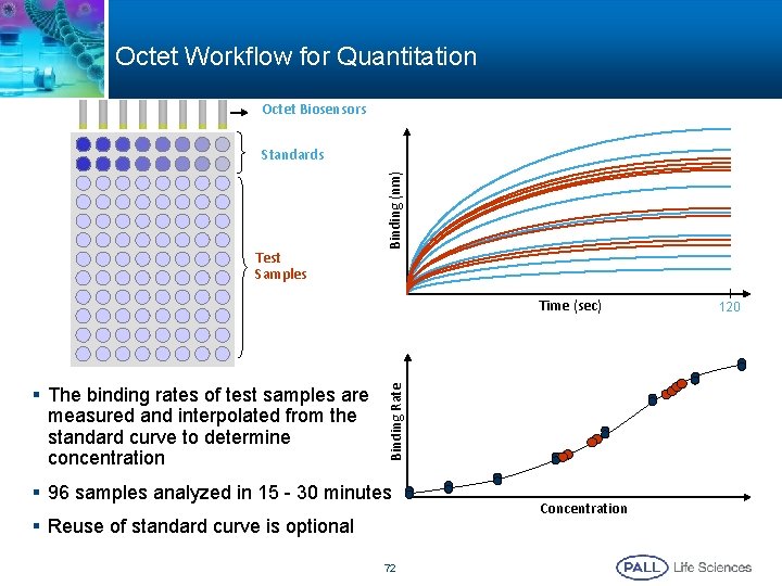 Octet Workflow for Quantitation Octet Biosensors Test Samples Binding (nm) Standards § The binding