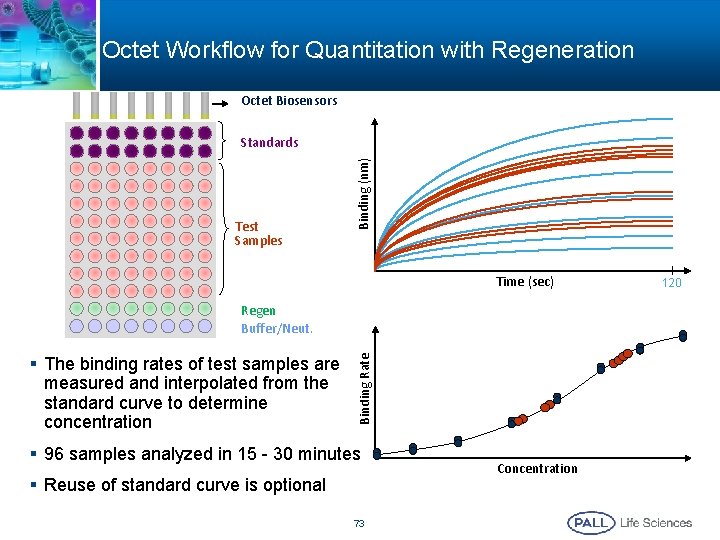 Octet Workflow for Quantitation with Regeneration Octet Biosensors Test Samples Binding (nm) Standards Time Octet Workflow for Quantitation with Regeneration Octet Biosensors Test Samples Binding (nm) Standards Time