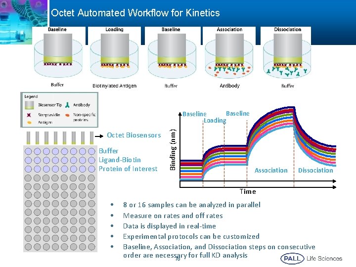 Octet Automated Workflow for Kinetics Octet Biosensors Buffer Ligand-Biotin Protein of Interest Binding (nm) Octet Automated Workflow for Kinetics Octet Biosensors Buffer Ligand-Biotin Protein of Interest Binding (nm)