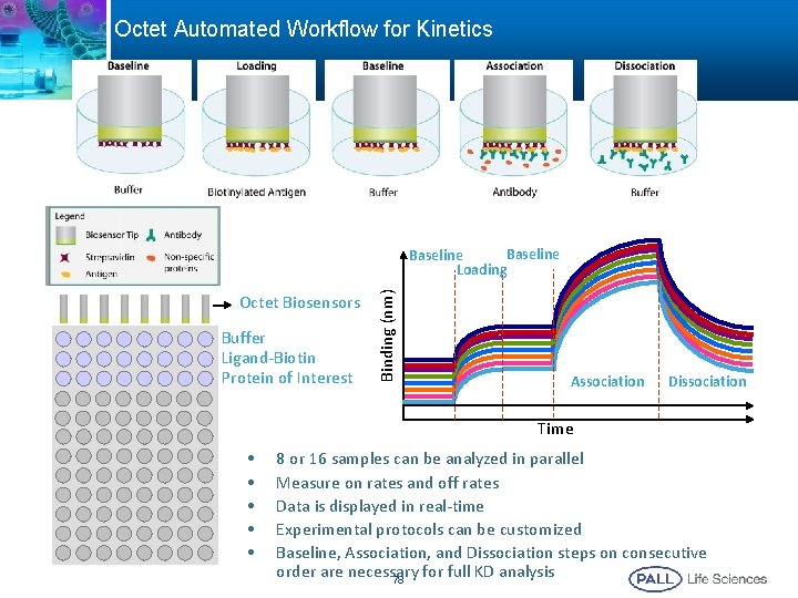 Octet Automated Workflow for Kinetics Octet Biosensors Buffer Ligand-Biotin Protein of Interest Binding (nm)
