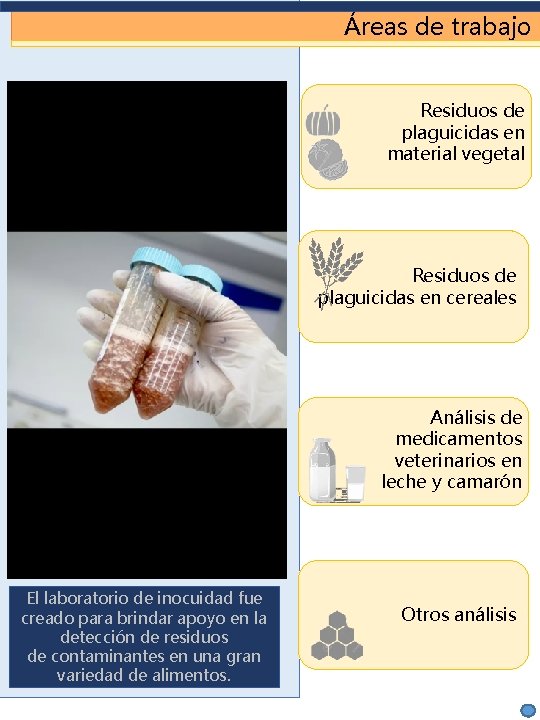 Áreas de trabajo Residuos de plaguicidas en material vegetal Residuos de plaguicidas en cereales