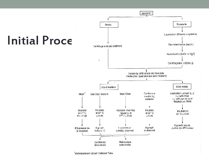 Initial Processing 