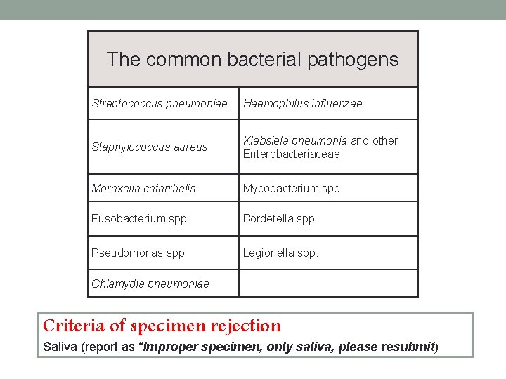 The common bacterial pathogens Streptococcus pneumoniae Haemophilus influenzae Staphylococcus aureus Klebsiela pneumonia and other