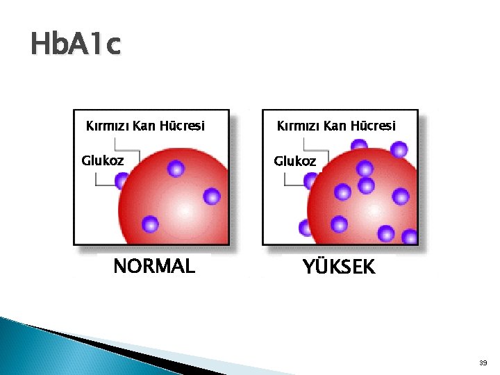 Hb. A 1 c Kırmızı Kan Hücresi Glukoz NORMAL Hb. A 1 c Kırmızı