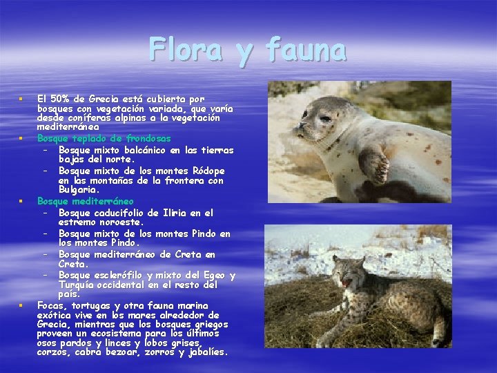 Flora y fauna § § El 50% de Grecia está cubierta por bosques con