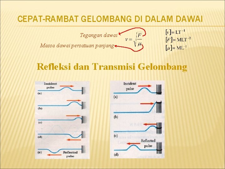 CEPAT-RAMBAT GELOMBANG DI DALAM DAWAI Tegangan dawai Massa dawai persatuan panjang Refleksi dan Transmisi