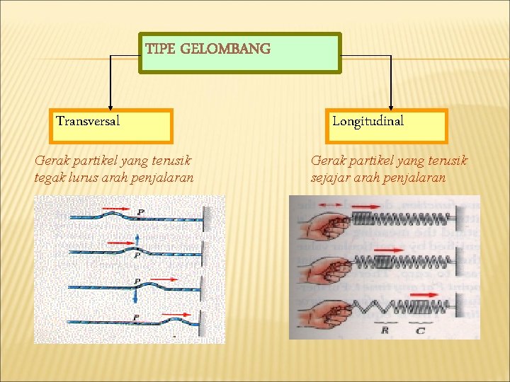 TIPE GELOMBANG Transversal Gerak partikel yang terusik tegak lurus arah penjalaran Longitudinal Gerak partikel