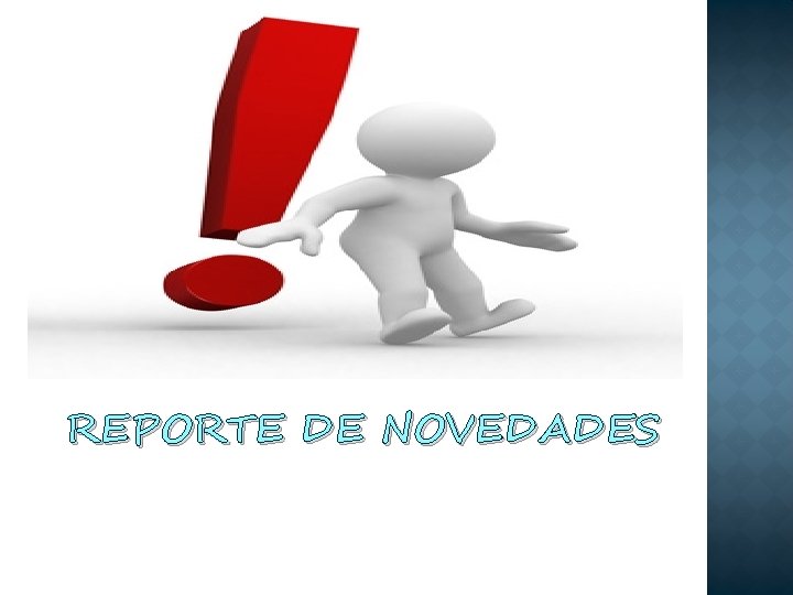 REPORTE DE NOVEDADES 