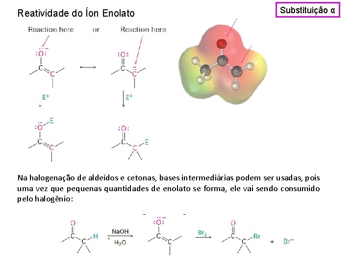 Reatividade do Íon Enolato Substituição α Na halogenação de aldeídos e cetonas, bases intermediárias