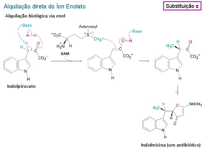 Alquilação direta do Íon Enolato Substituição α Alquilação biológica via enol Indolpiruvato Indolmicina (um