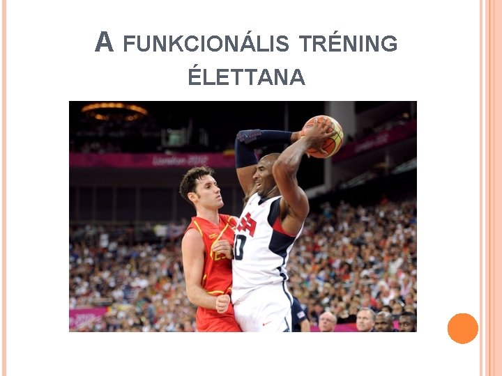 A FUNKCIONÁLIS TRÉNING ÉLETTANA 