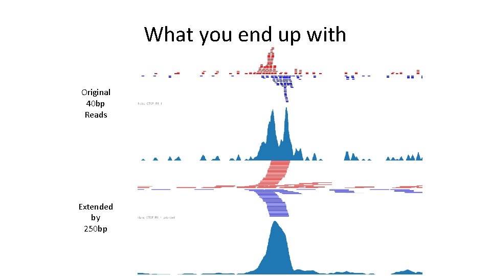 What you end up with Original 40 bp Reads Extended by 250 bp 