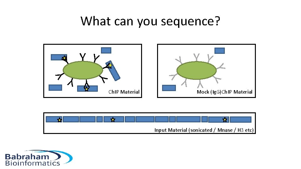 What can you sequence? Y Y Ch. IP Material Y YY YY Y Mock