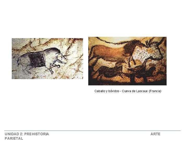 Caballo y bóvidos - Cueva de Lascaux (Francia) UNIDAD 2: PREHISTORIA PARIETAL ARTE 