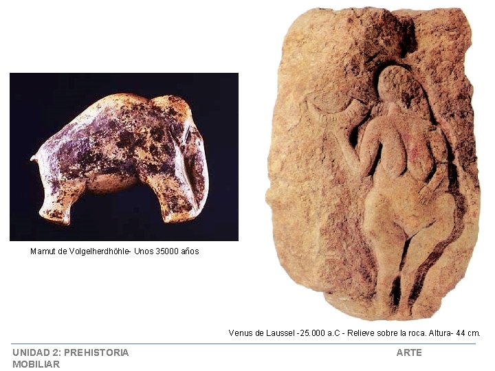 Mamut de Volgelherdhöhle- Unos 35000 años Venus de Laussel -25. 000 a. C -