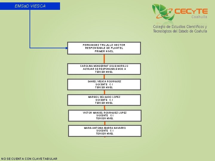 EMSa. D VIESCA FERNANDEZ TRUJILLO HECTOR RESPONSABLE DE PLANTEL PRIMER NIVEL CAROLINA MONSERRAT SOLIS