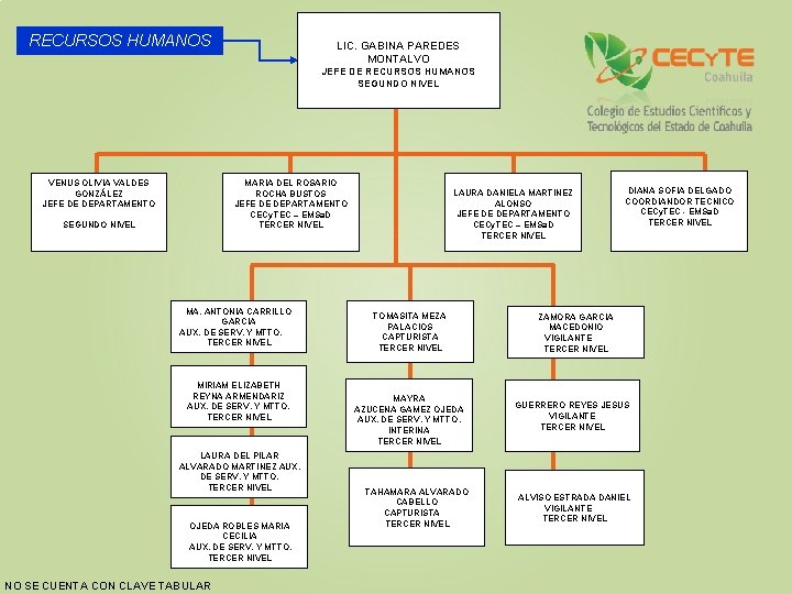 RECURSOS HUMANOS LIC. GABINA PAREDES MONTALVO JEFE DE RECURSOS HUMANOS SEGUNDO NIVEL VENUS OLIVIA