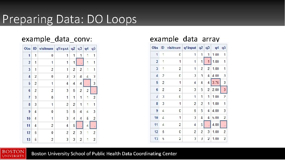 Preparing Data: DO Loops example_data_conv: example_data_array 