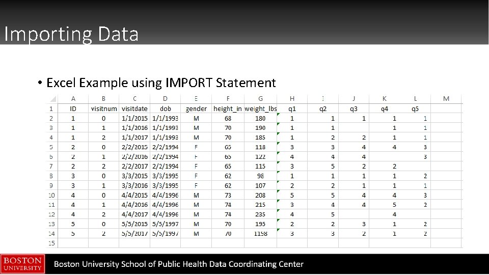 Importing Data • Excel Example using IMPORT Statement 