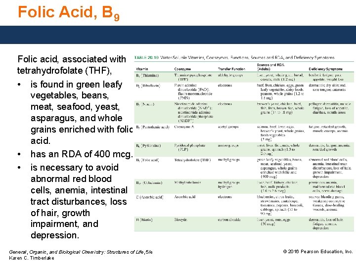 Folic Acid, B 9 Folic acid, associated with tetrahydrofolate (THF), • is found in