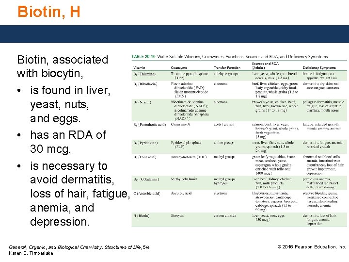 Biotin, H Biotin, associated with biocytin, • is found in liver, yeast, nuts, and