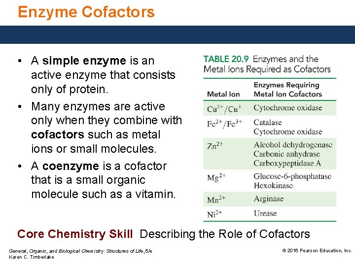 Enzyme Cofactors • A simple enzyme is an active enzyme that consists only of