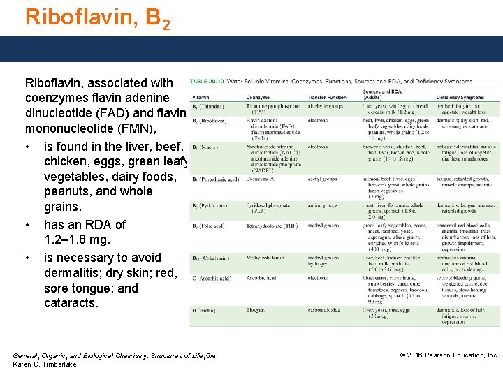 Riboflavin, B 2 Riboflavin, associated with coenzymes flavin adenine dinucleotide (FAD) and flavin mononucleotide