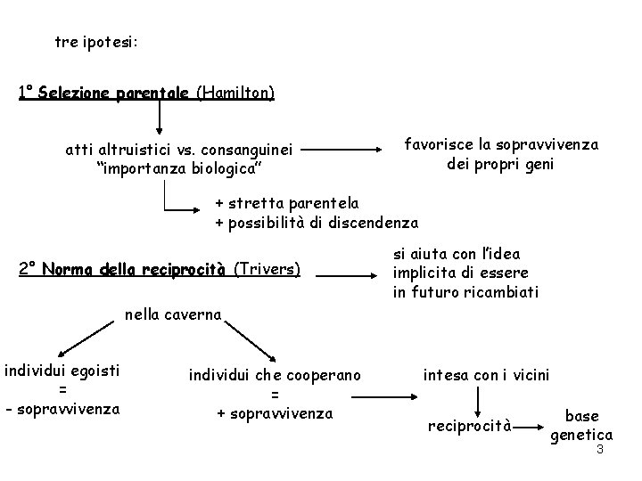 tre ipotesi: 1° Selezione parentale (Hamilton) atti altruistici vs. consanguinei “importanza biologica” favorisce la