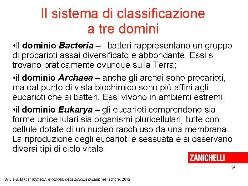 Il sistema di classificazione a tre domini • Il dominio Bacteria – i batteri