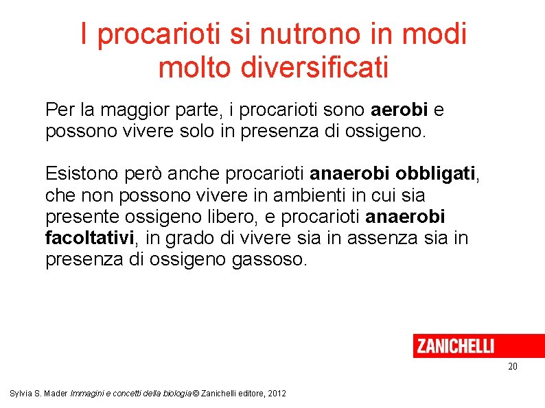 I procarioti si nutrono in modi molto diversificati Per la maggior parte, i procarioti