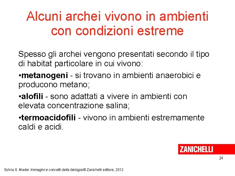 Alcuni archei vivono in ambienti condizioni estreme Spesso gli archei vengono presentati secondo il
