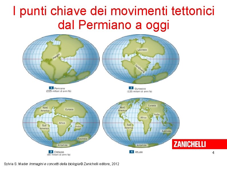 I punti chiave dei movimenti tettonici dal Permiano a oggi 4 Sylvia S. Mader