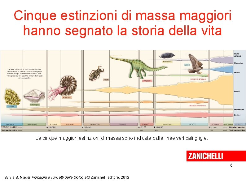 Cinque estinzioni di massa maggiori hanno segnato la storia della vita Le cinque maggiori