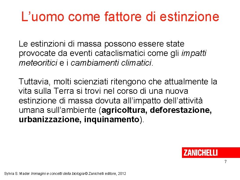 L’uomo come fattore di estinzione Le estinzioni di massa possono essere state provocate da