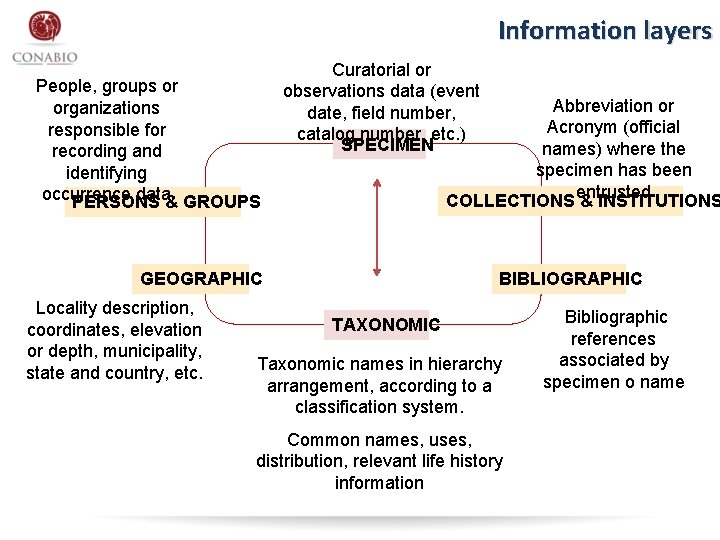 Information layers People, groups or organizations responsible for recording and identifying occurrence data& GROUPS