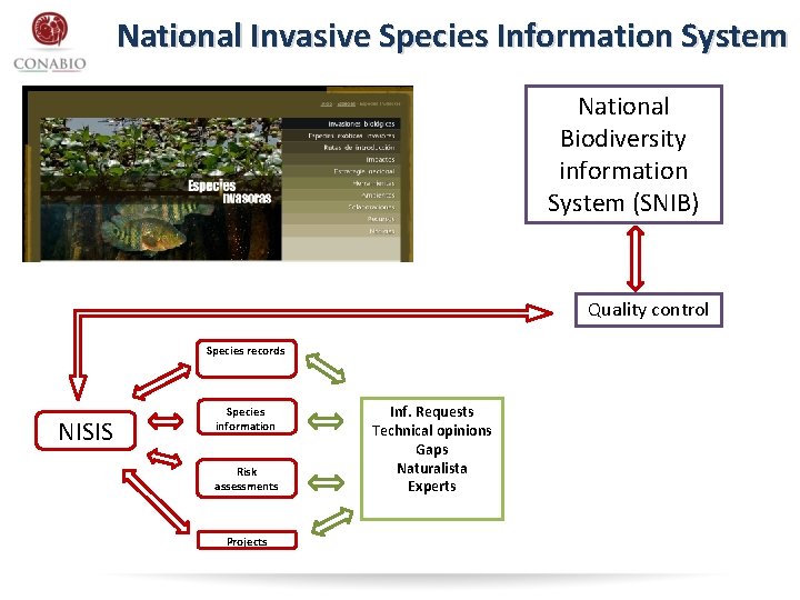National Invasive Species Information System National Biodiversity information System (SNIB) Quality control Species records