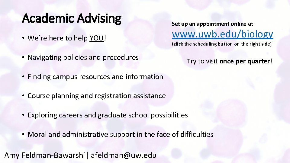 Academic Advising • We’re here to help YOU! • Navigating policies and procedures Set