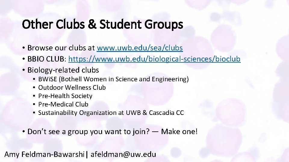 Other Clubs & Student Groups • Browse our clubs at www. uwb. edu/sea/clubs •