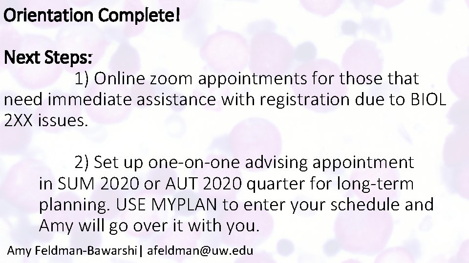 Orientation Complete! Next Steps: 1) Online zoom appointments for those that need immediate assistance