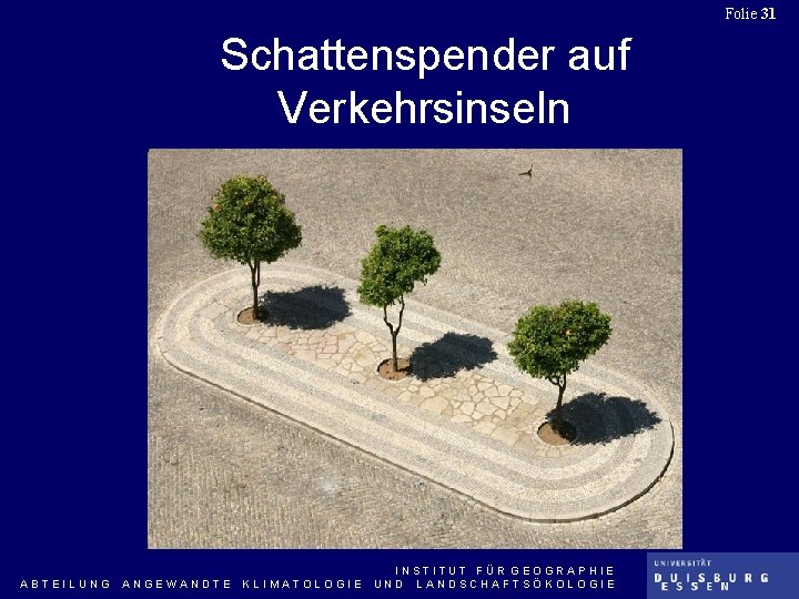 Folie 31 Schattenspender auf Verkehrsinseln ABTEILUNG ANGEWANDTE KLIMATOLOGIE INSTITUT FÜR GEOGRAPHIE UND LANDSCHAFTSÖKOLOGIE 