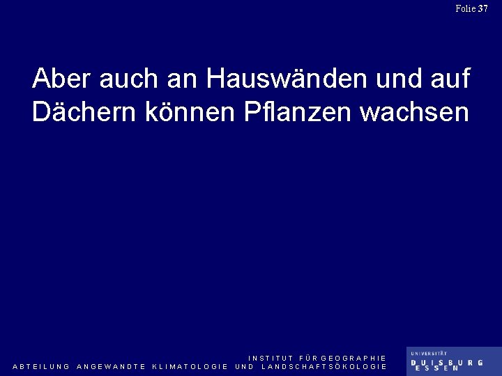 Folie 37 Aber auch an Hauswänden und auf Dächern können Pflanzen wachsen ABTEILUNG ANGEWANDTE