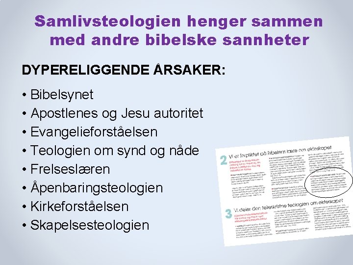 Samlivsteologien henger sammen med andre bibelske sannheter DYPERELIGGENDE ÅRSAKER: • Bibelsynet • Apostlenes og