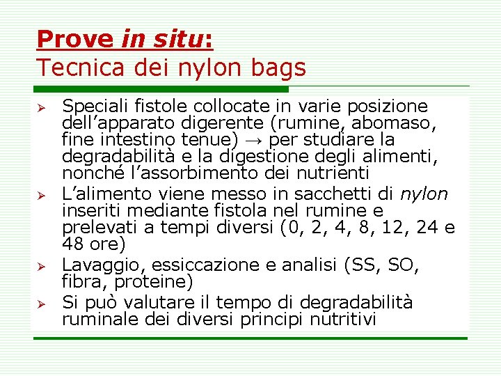 Prove in situ: Tecnica dei nylon bags Ø Ø Speciali fistole collocate in varie