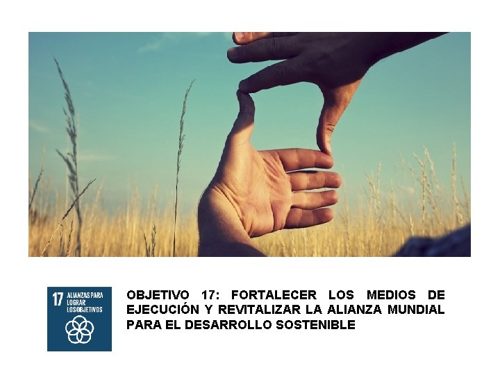OBJETIVO 17: FORTALECER LOS MEDIOS DE EJECUCIÓN Y REVITALIZAR LA ALIANZA MUNDIAL PARA EL
