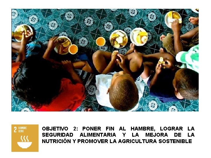 OBJETIVO 2: PONER FIN AL HAMBRE, LOGRAR LA SEGURIDAD ALIMENTARIA Y LA MEJORA DE