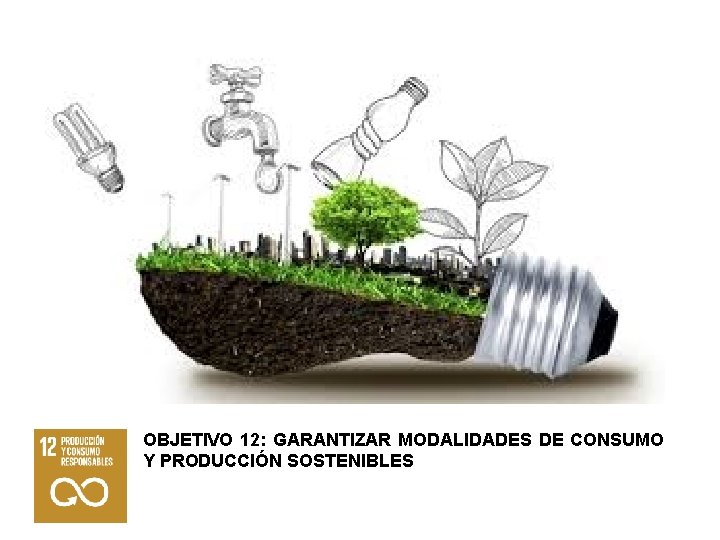 OBJETIVO 12: GARANTIZAR MODALIDADES DE CONSUMO Y PRODUCCIÓN SOSTENIBLES 